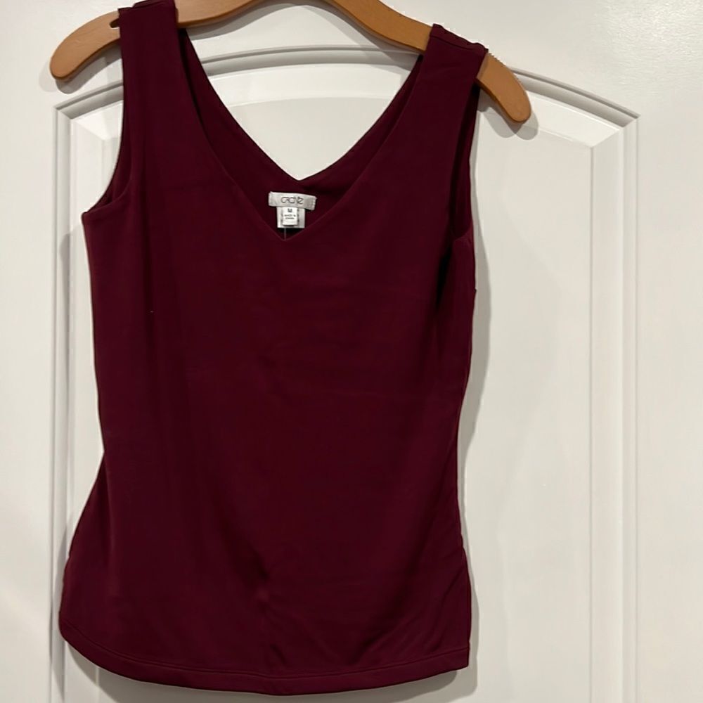 🎉Last Price 🎉Cache V neck blouse